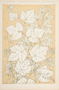 Löv från naturen, 1868 (chromolitho) av Christopher Dresser