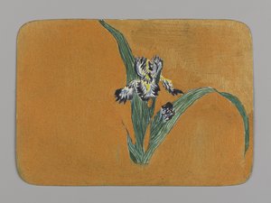Iris (wc på papper)