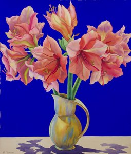Amaryllis i en kanna, 2007 (wc och gouache på papper)