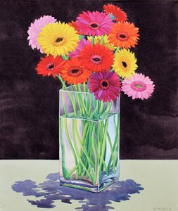 Gerberas (akvarell på papper)