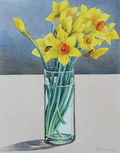 Supermarket Daffodils, 2022 (akvarell på papper)