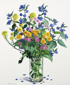 Vilda blommor med Alkanet, 2021 (akvarell på papper)