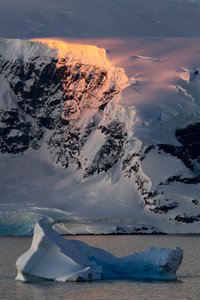 Golden Antarctic Peak av Chuanxu Ren