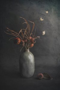  av Cicek Kiral