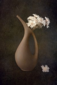  av Cicek Kiral