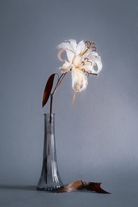  av Cicek Kiral