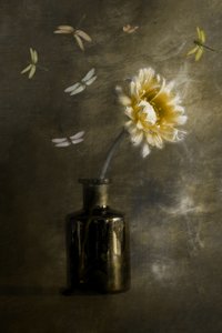  av Cicek Kiral