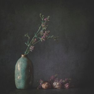  av Cicek Kiral
