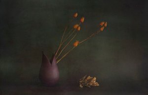  av Cicek Kiral