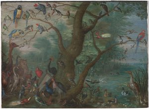 Konsert av fåglar av Circle of Jan van Kessel the Elder