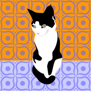 Katt på marockanska plattor