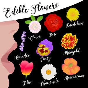 Ätbara blommor av Claire Huntley