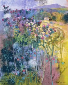 The Wild Beauty of Clee av Claire Spencer