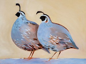 Ett charmigt vaktelpar av Claire Whitehead