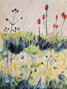 Färgglada sommarblommor