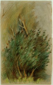 Tucheler Heide (skogsstudie) av Clara Siewert