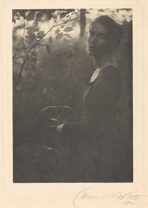 Edge of the Woods, kväll,1900 (foto)