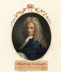 Porträtt av Sebastian Vaillant, fransk botaniker