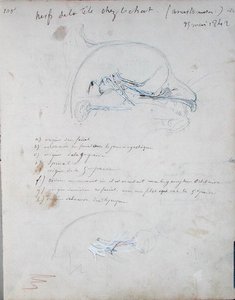 Nervsystemet i huvudet på en katt, maj 1842 (penna på papper) av Claude Bernard
