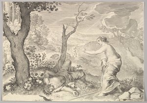 Adonis död. av Claude Mellan