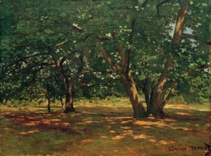 Fontainebleau-skogen