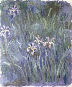 Iris, ca 1914-1917 av Claude Monet