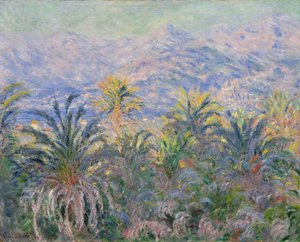 Palmer på Bordighera av Claude Monet