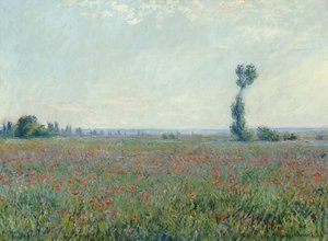 Vallmofält, 1881 av Claude Monet