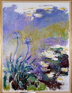 Agapantusen av Claude Monet