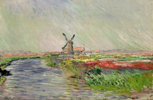 Tulpanfält i Holland av Claude Monet