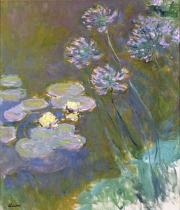 Näckrosor och Agapanthus av Claude Monet