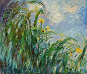 Gula iris, ca. 1925. av Claude Monet