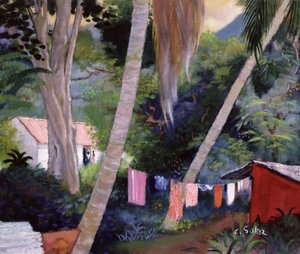 Torktvätt, Guadeloupe