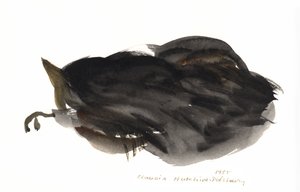 Sovande katt, 1985 (akvarell) av Claudia Hutchins Puechavy