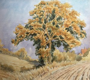Solnedgång vid skörden, North Denford av Clive Wilson