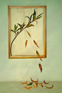  av Codruta Georgescu