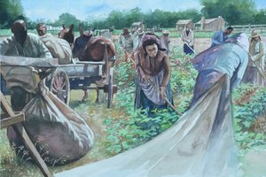 Backbreaking, 2010 av Colin Bootman