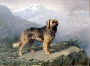 En mastiff i ett alpint landskap av Conradyn Cunaeus
