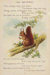 Nursery rim: The Squirrel (chromolitho)