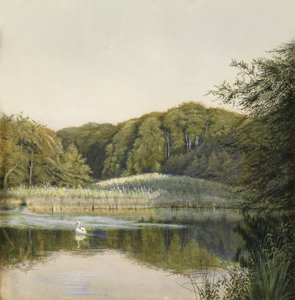 Swans on Paddington Pond, 1860-talet (wc på papper)