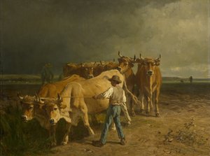 Oxar plöjning, 1860
