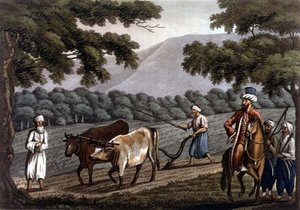 Jordbruk i Syrien, graverad av Joseph Constantine Stadler (fl.1780-1812) pub. av J. White