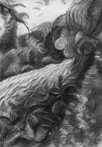 Vattenflödet i Dark Forest Stream av Corné Akkers
