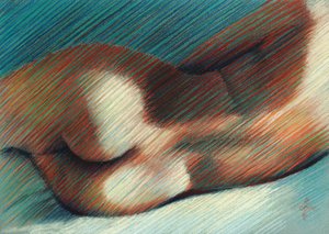 Sensuella kroppskurvor av Corné Akkers