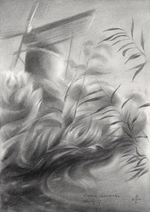 Vindkvarnens vass – fridfull av Corné Akkers