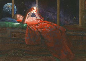 Kvinnan och den kosmiska skärmen av Corné Akkers