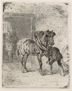 Häst får hästskor i en smedja av Cornelis Albertus Johannes Schermer
