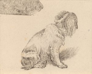 Sittande hund, 1777. av Cornelis Brouwer