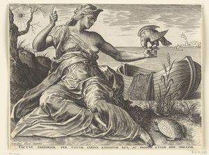 Känslan (Tactus) De fem sinnena (serietitel) av Cornelis Cort