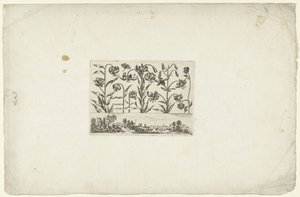 Rad av blommor över landskapet Blommor och landskap (serietitel) av Cornelis Danckerts (I)